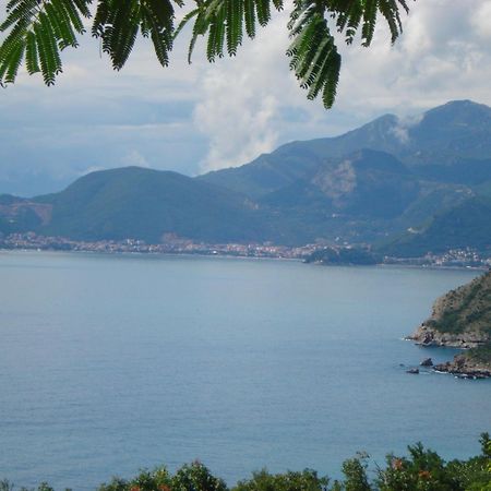 Boutique Home Saltaragazza Petrovac Dış mekan fotoğraf