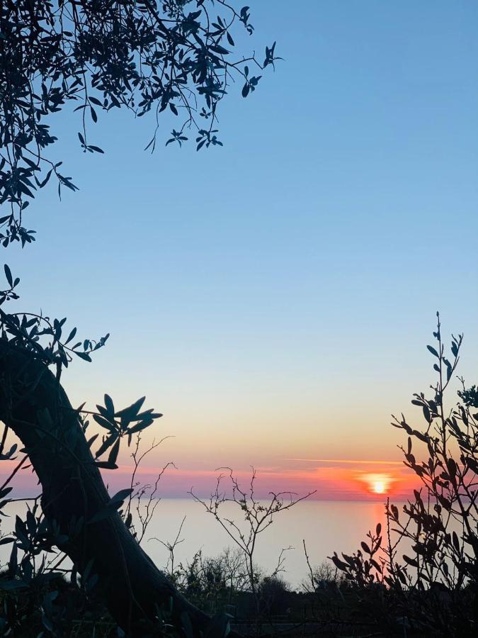 Boutique Home Saltaragazza Petrovac Dış mekan fotoğraf