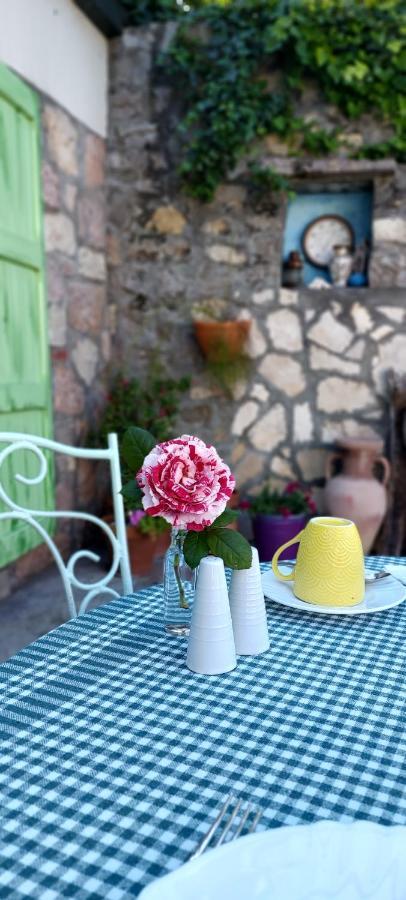 Boutique Home Saltaragazza Petrovac Dış mekan fotoğraf