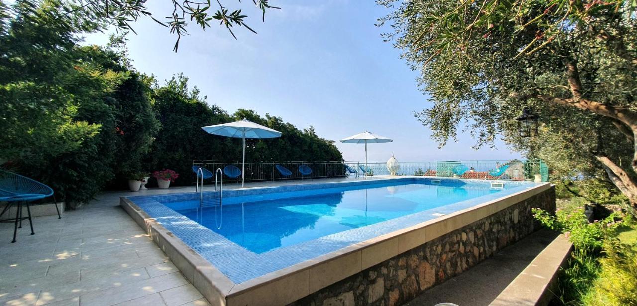 Boutique Home Saltaragazza Petrovac Dış mekan fotoğraf