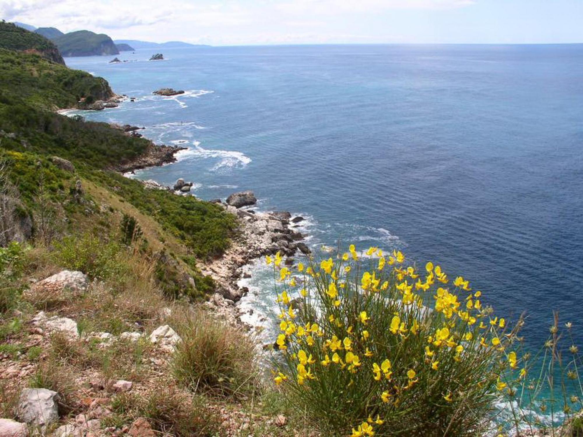 Boutique Home Saltaragazza Petrovac Dış mekan fotoğraf