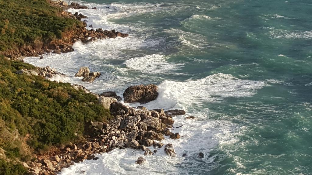 Boutique Home Saltaragazza Petrovac Dış mekan fotoğraf