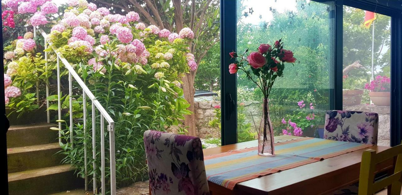 Boutique Home Saltaragazza Petrovac Dış mekan fotoğraf