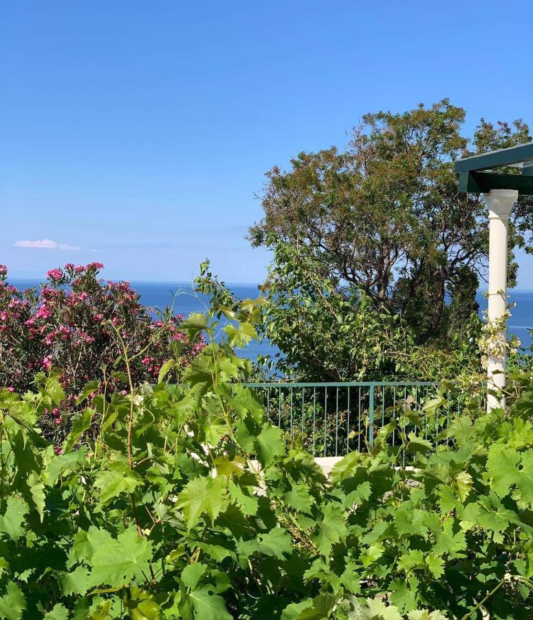 Boutique Home Saltaragazza Petrovac Dış mekan fotoğraf